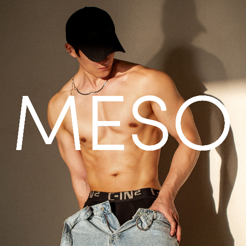 MESOfoto