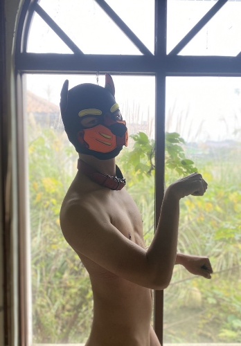 小宏