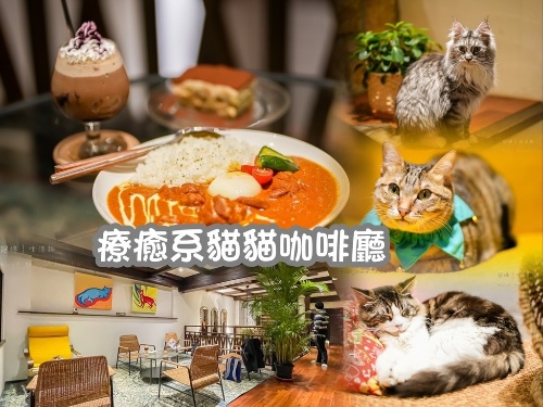 冠婷生活趣