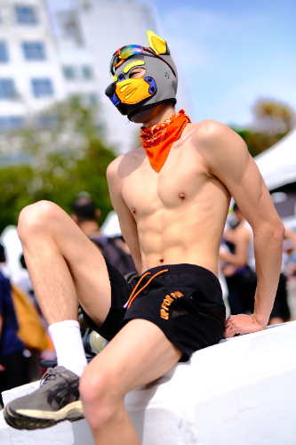 TibetanWolf.2264