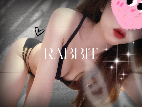 rabbit157c